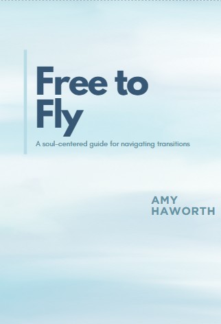 Book Cover Free to Fly Book Cover Free to Fly